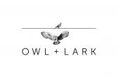 Owl + Lark Promo Codes for